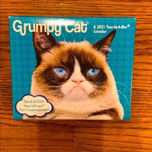 Faye~ grumpy cat calendar